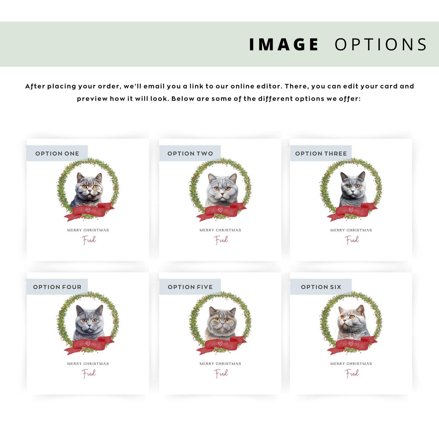 Personalised British Shorthair cat Christmas card with festive wreath design. Ideal holiday card for Cat Mum, Cat Dad, or a cat sitter.