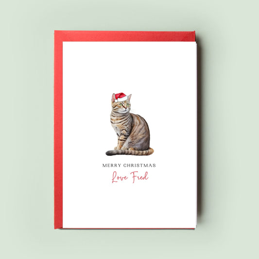 American Shorthair Cat Christmas Card – From the Cat, Perfect for Cat Mum & Cat Dad, Pet Card to Celebrate the Season with Your Furry Friend