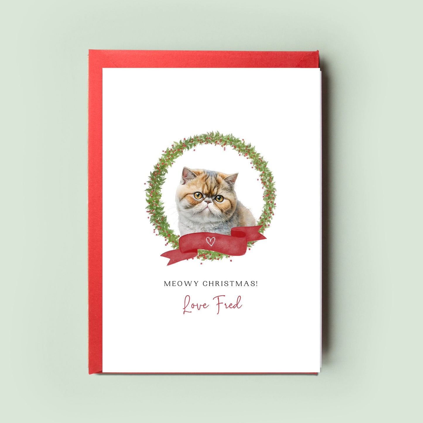 Exotic Shorthair Cat Illustration Christmas Card