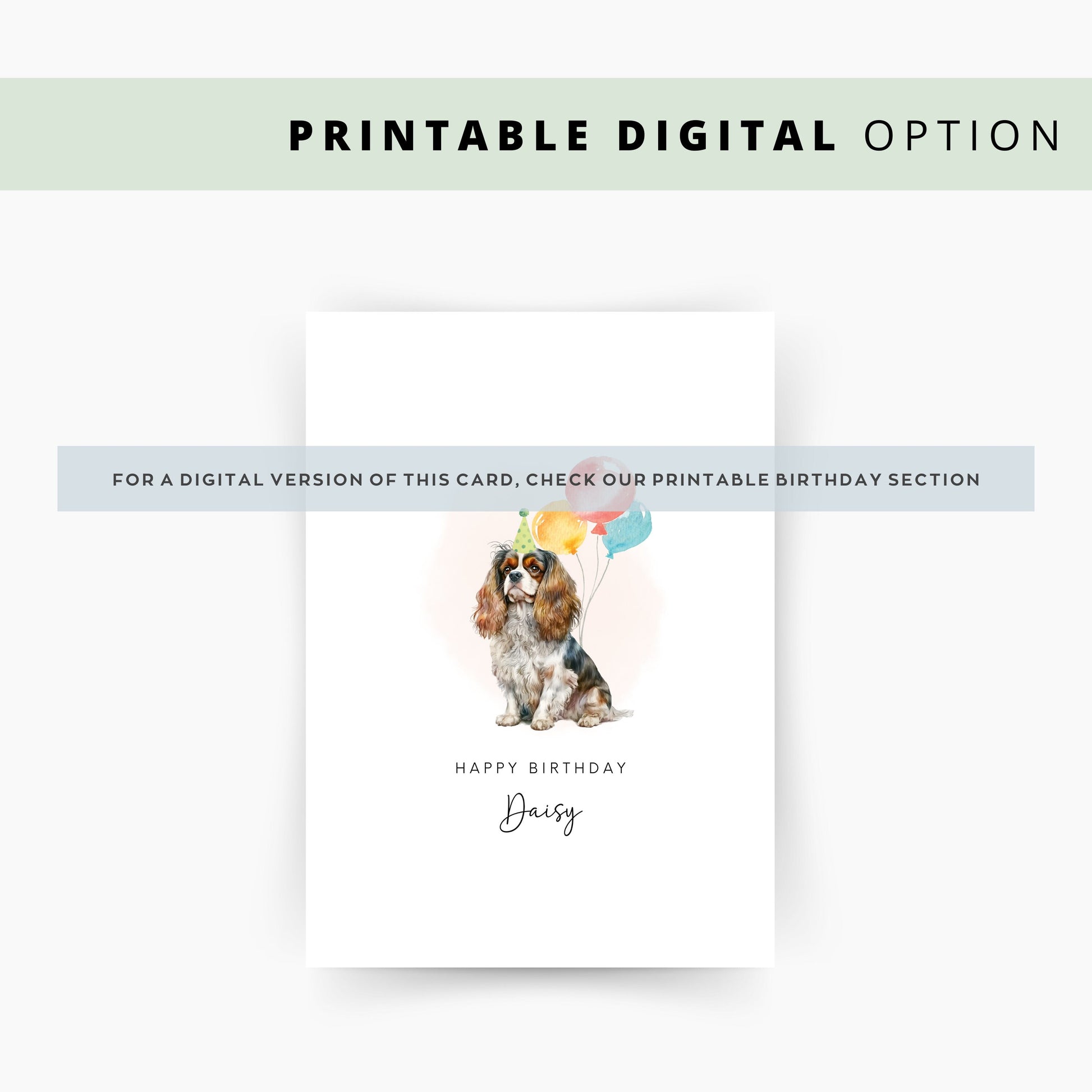 King Charles Spaniel Birthday Card from the Dog, Birthday Card for Dog Dad, Birthday Card for Dog Mum, Pet Card, Card From the Dog