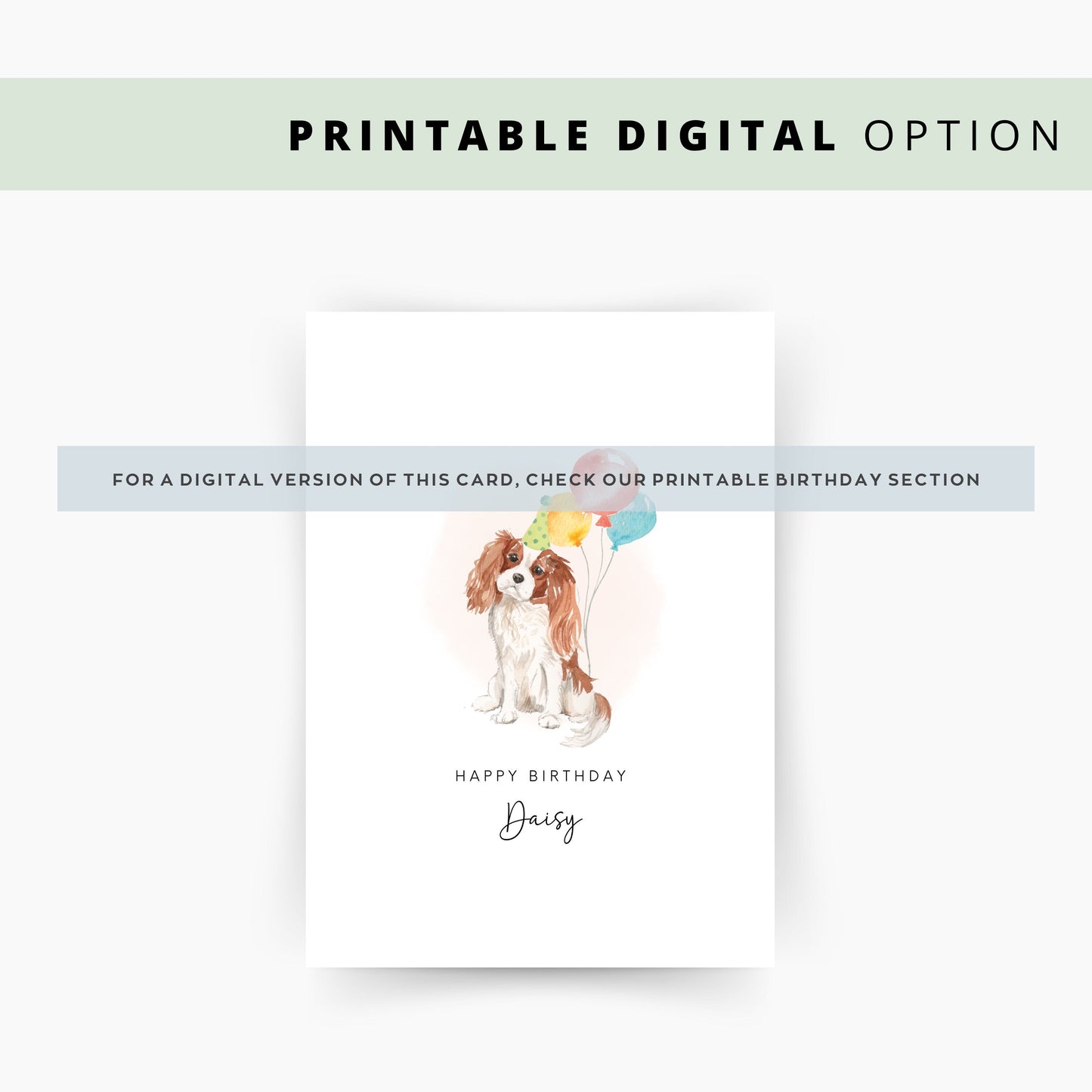 King Charles Cavalier Dog Birthday Card from the Dog for Dog Lovers