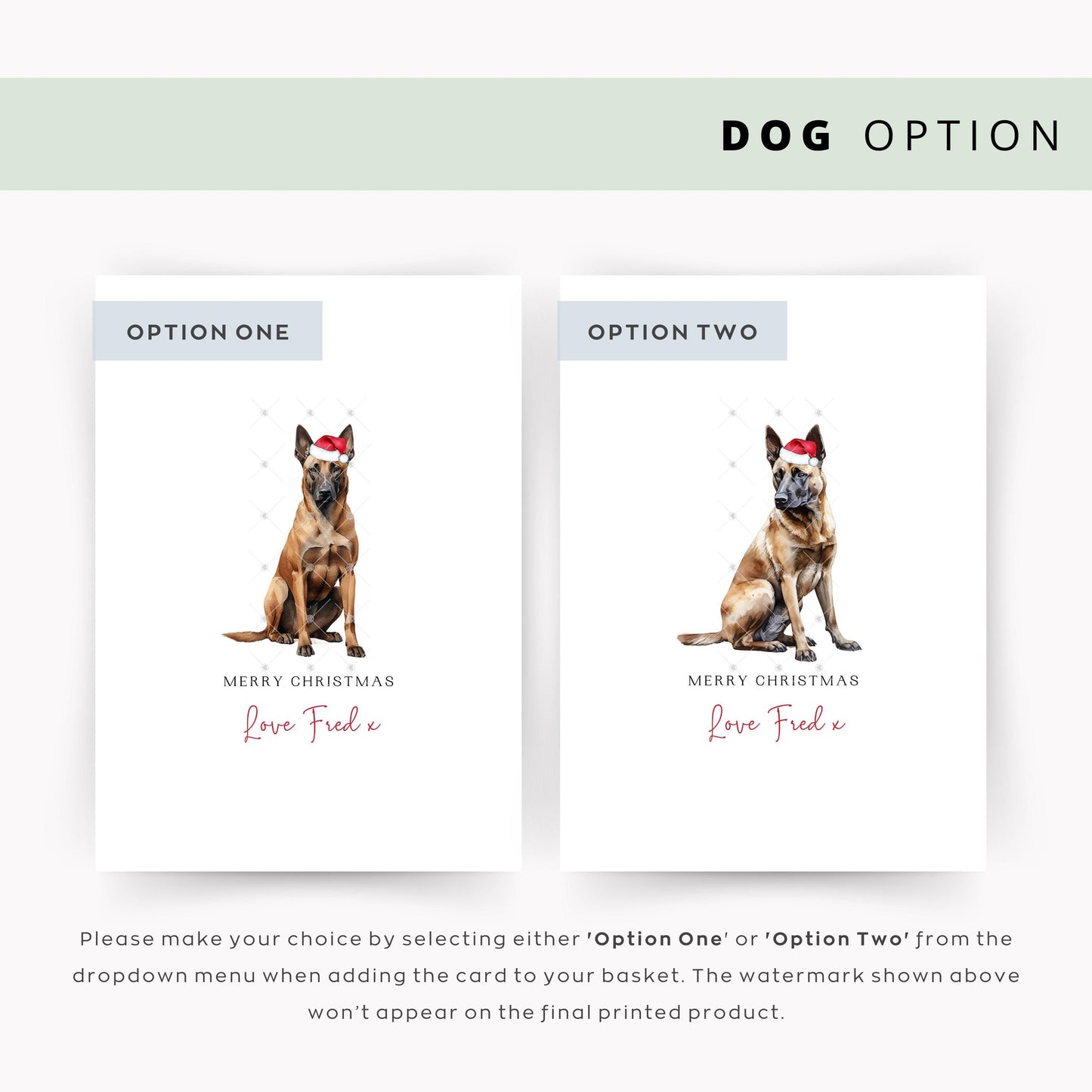 Belgian Malinois Personalised Christmas Card, Perfect Pet Card From the Dog, Unforgettable Christmas Card for Dog Dad, Dog Mum