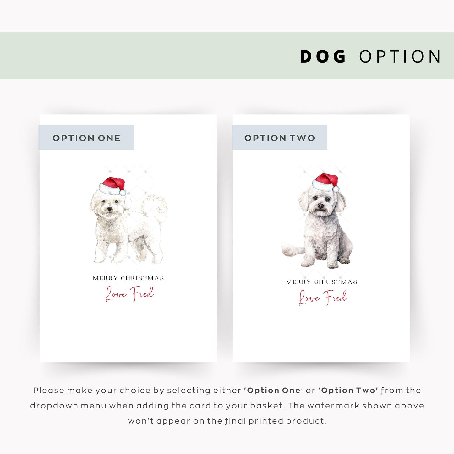 Bichon Frise Christmas Card, From the Dog to Dog Mum & Dad, Pet Card for Family and To the Dog, Perfect for Dog Lovers Christmas Card