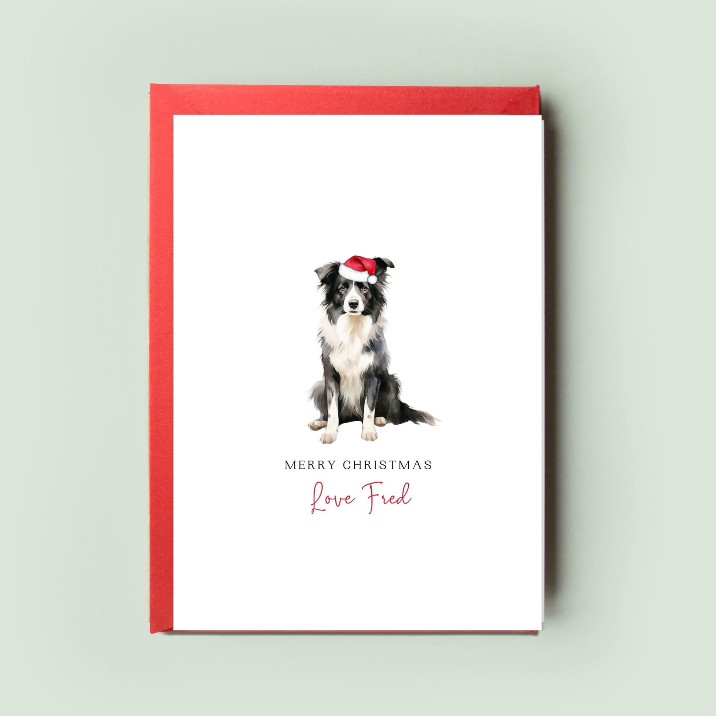 Border Collie Christmas Card