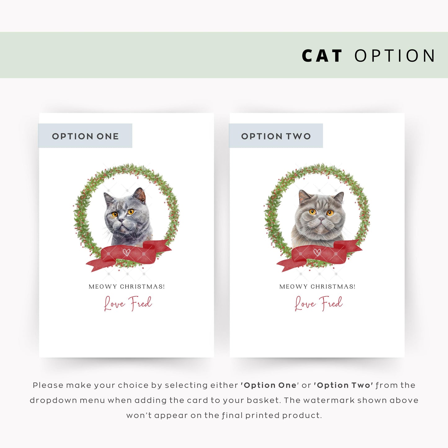 British Shorthair Cat Illustration Christmas Card