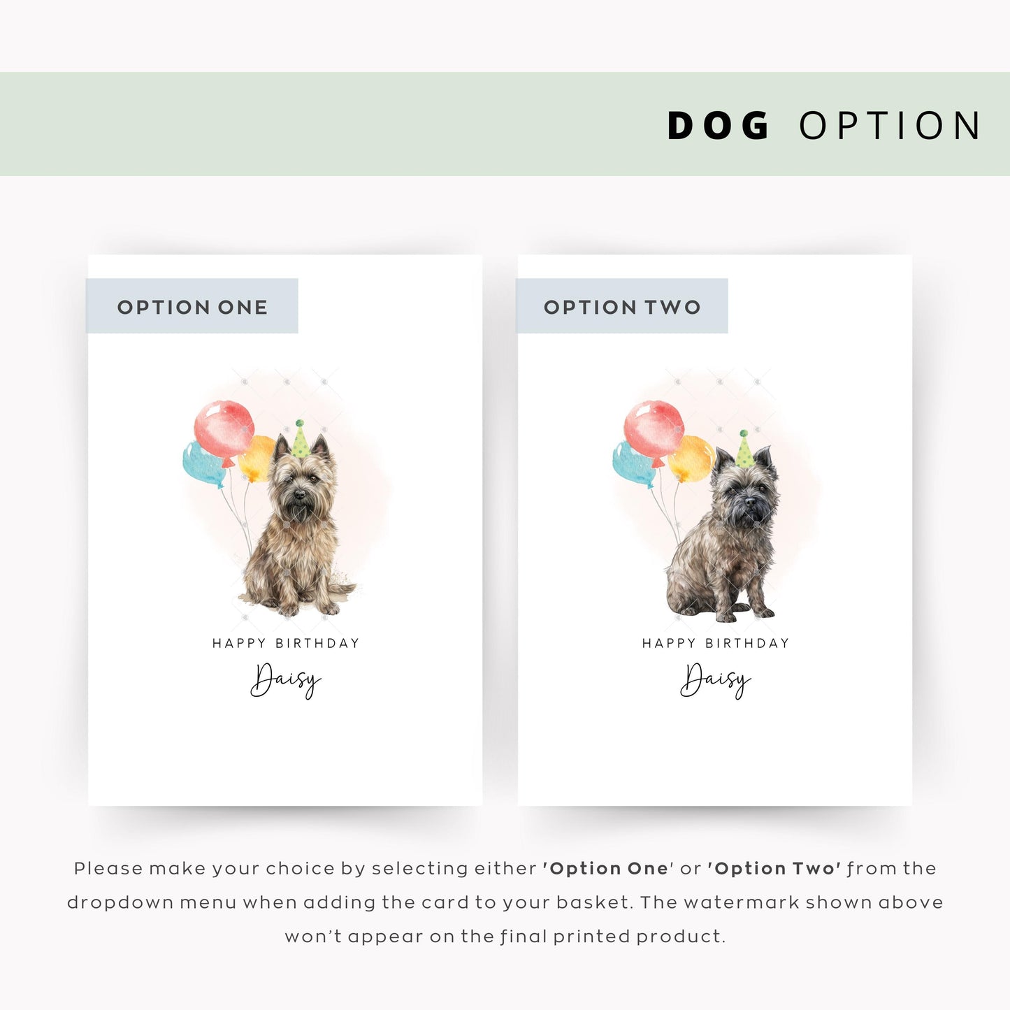 Cairn Terrier Dog Birthday Card from the Pet Dog for Dog Dad or Dog Mum