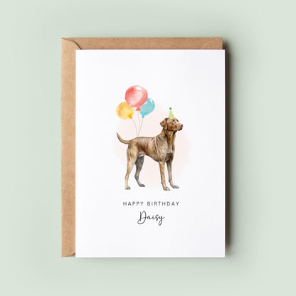 Chesapeake Bay Retriever Dog Birthday Card from the Dog, Birthday Card for Dog Dad, Birthday Card for Dog Mum, Pet Card, From the Dog