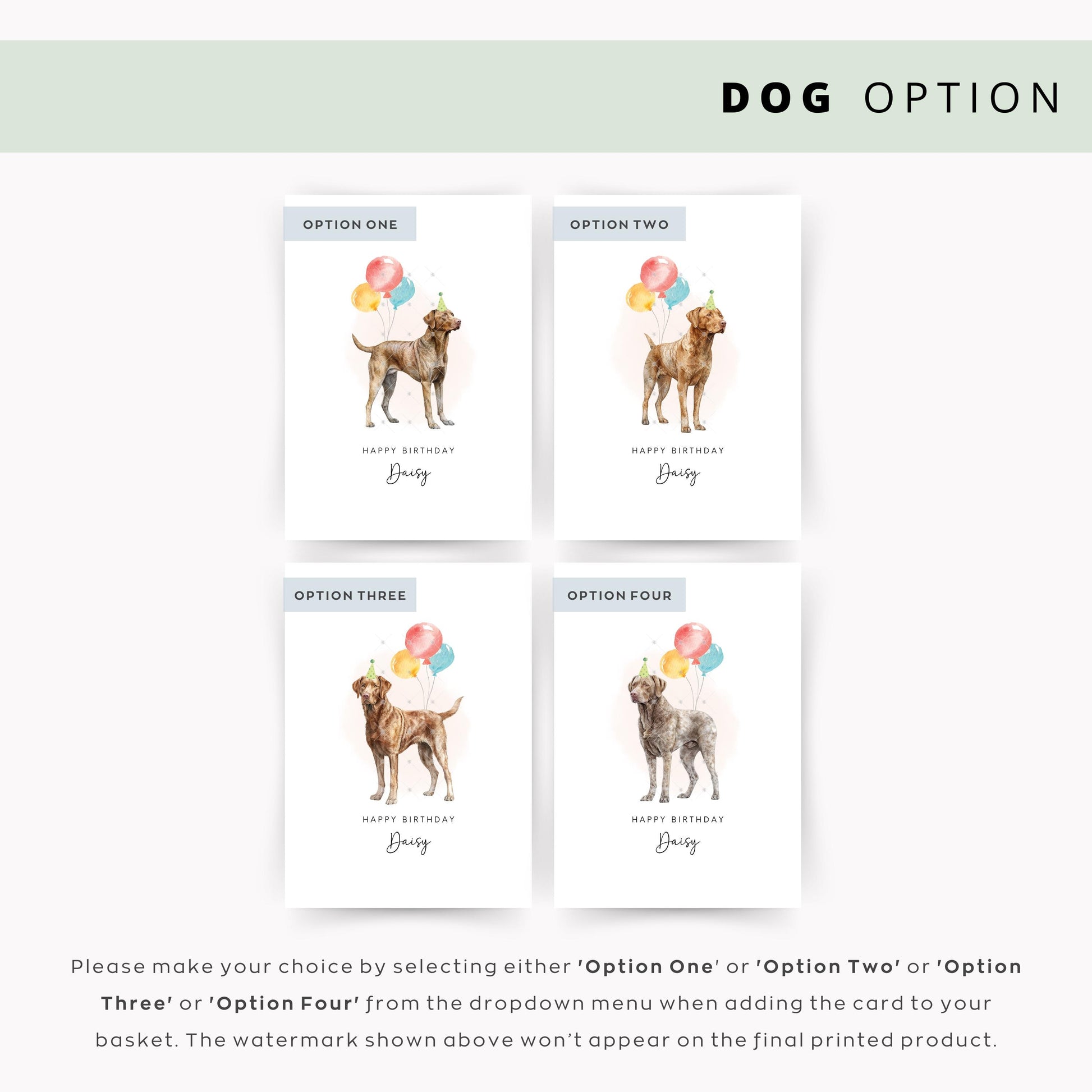 Chesapeake Bay Retriever Dog Birthday Card from the Dog, Birthday Card for Dog Dad, Birthday Card for Dog Mum, Pet Card, From the Dog