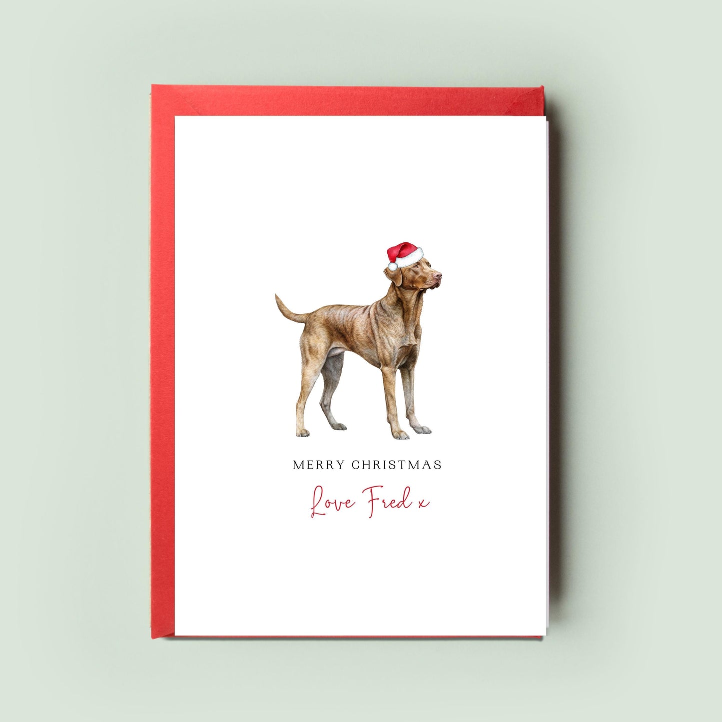 Chesapeake Bay Retriever Personalised Dog Christmas Card, For the Dog, From the Dog, Pet Christmas Card, Dog Card, Dog Dad, Dog Mum, Woofmas