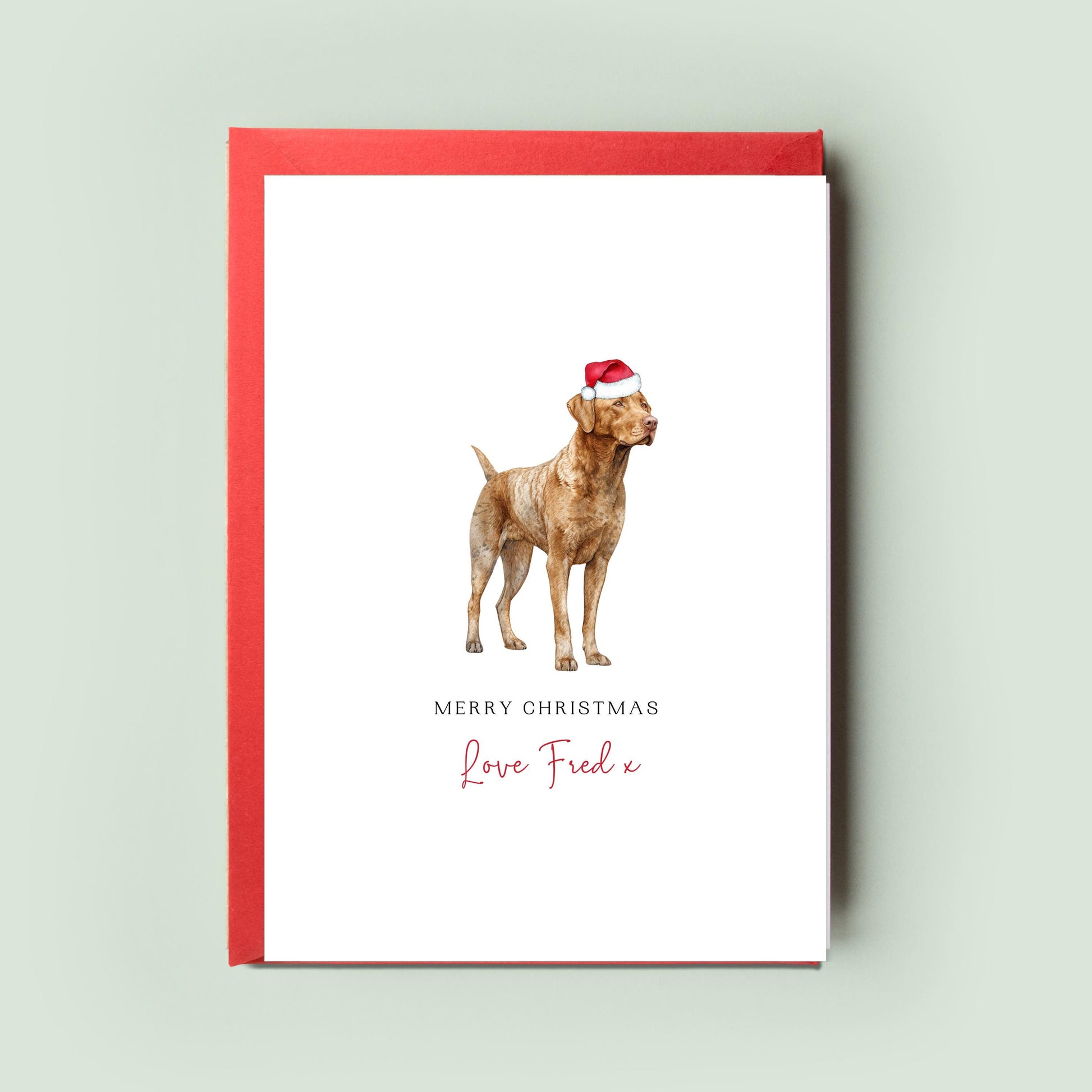 Chesapeake Bay Retriever Personalised Dog Christmas Card, For the Dog, From the Dog, Pet Christmas Card, Dog Card, Dog Dad, Dog Mum, Woofmas