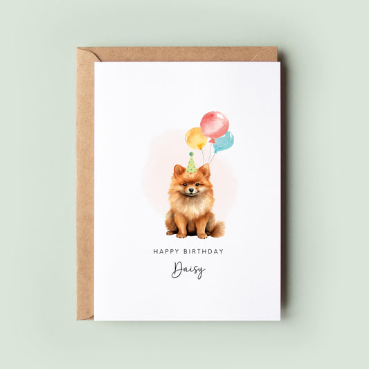 Pomeranian Pet Birthday Card From/For The Dog