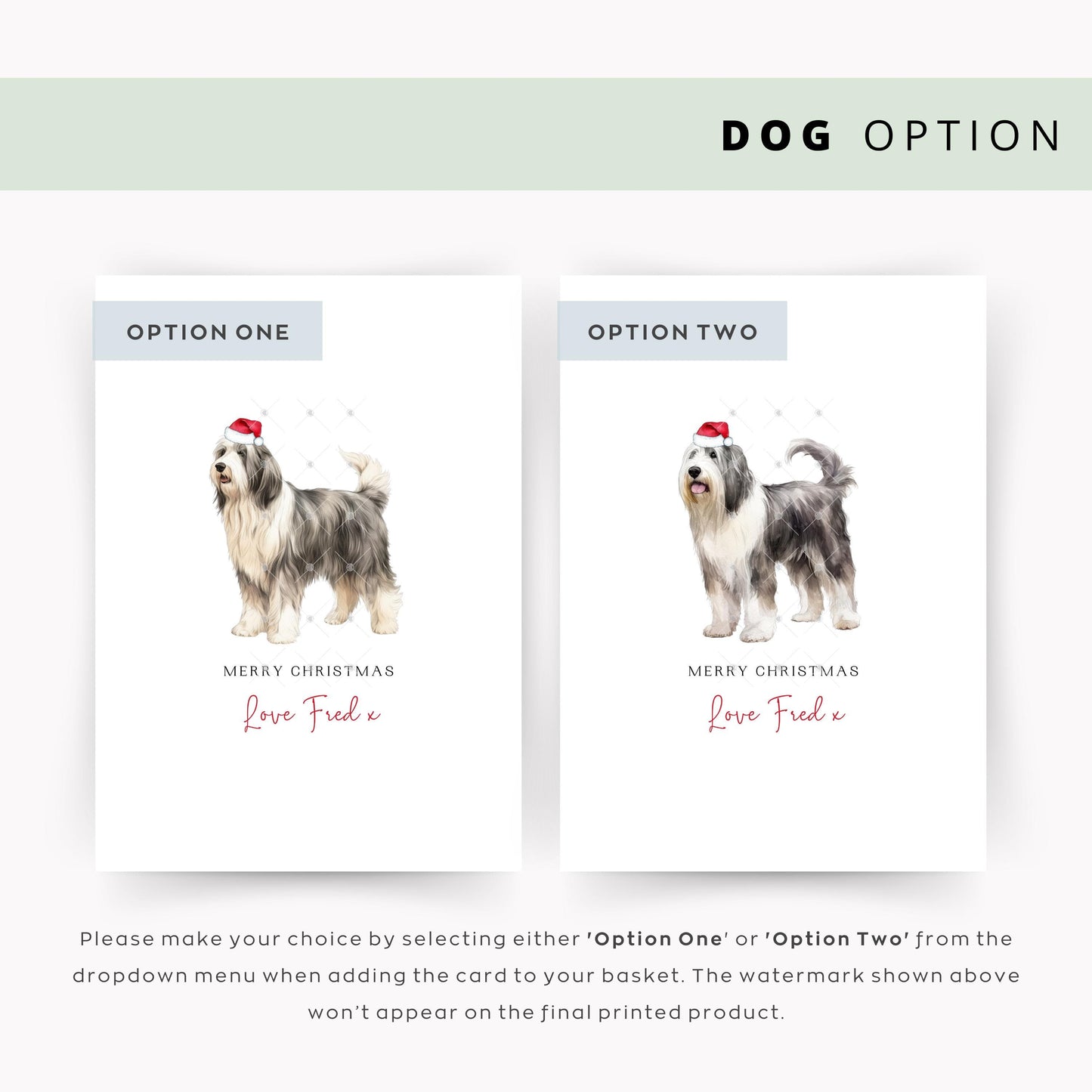 Bearded Collie Personalised Christmas Card, Perfect Pet Card From the Dog, Unforgettable Christmas Card for Dog Dad, Dog Mum