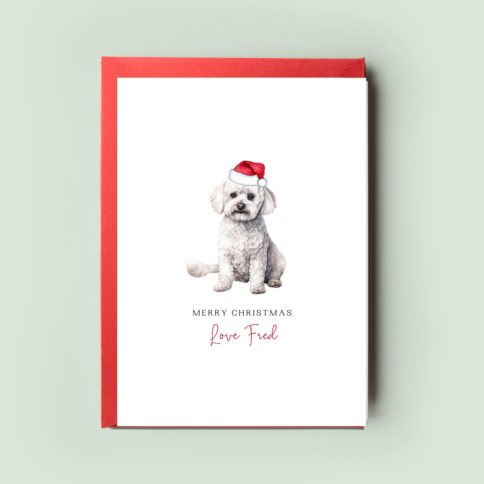 Bichon Frise Christmas Card, From the Dog to Dog Mum & Dad, Pet Card for Family and To the Dog, Perfect for Dog Lovers Christmas Card