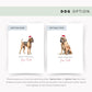 Bloodhound Christmas Card Collection - From the Dog to Dog Mum & Dad - Unique Pet Card, Ideal for Dog Lovers - Share The Festive Love!