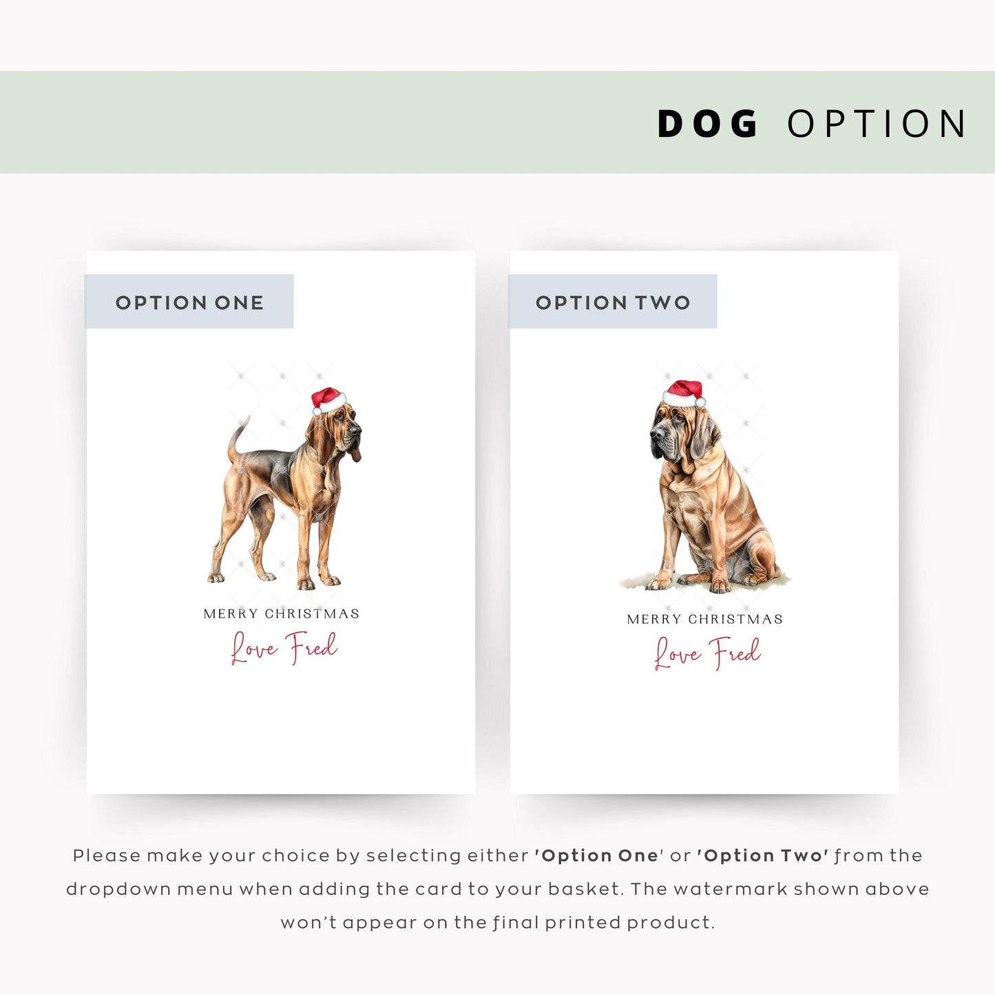 Bloodhound Christmas Card Collection - From the Dog to Dog Mum & Dad - Unique Pet Card, Ideal for Dog Lovers - Share The Festive Love!