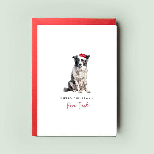 Border Collie Christmas Card