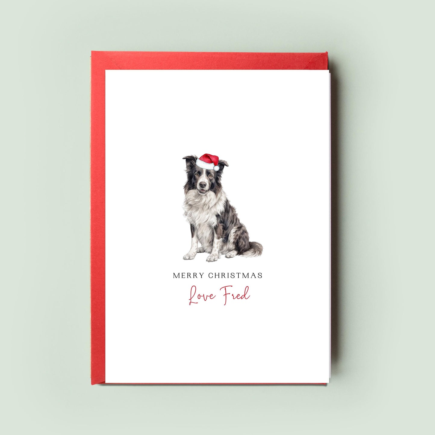 Border Collie Christmas Card