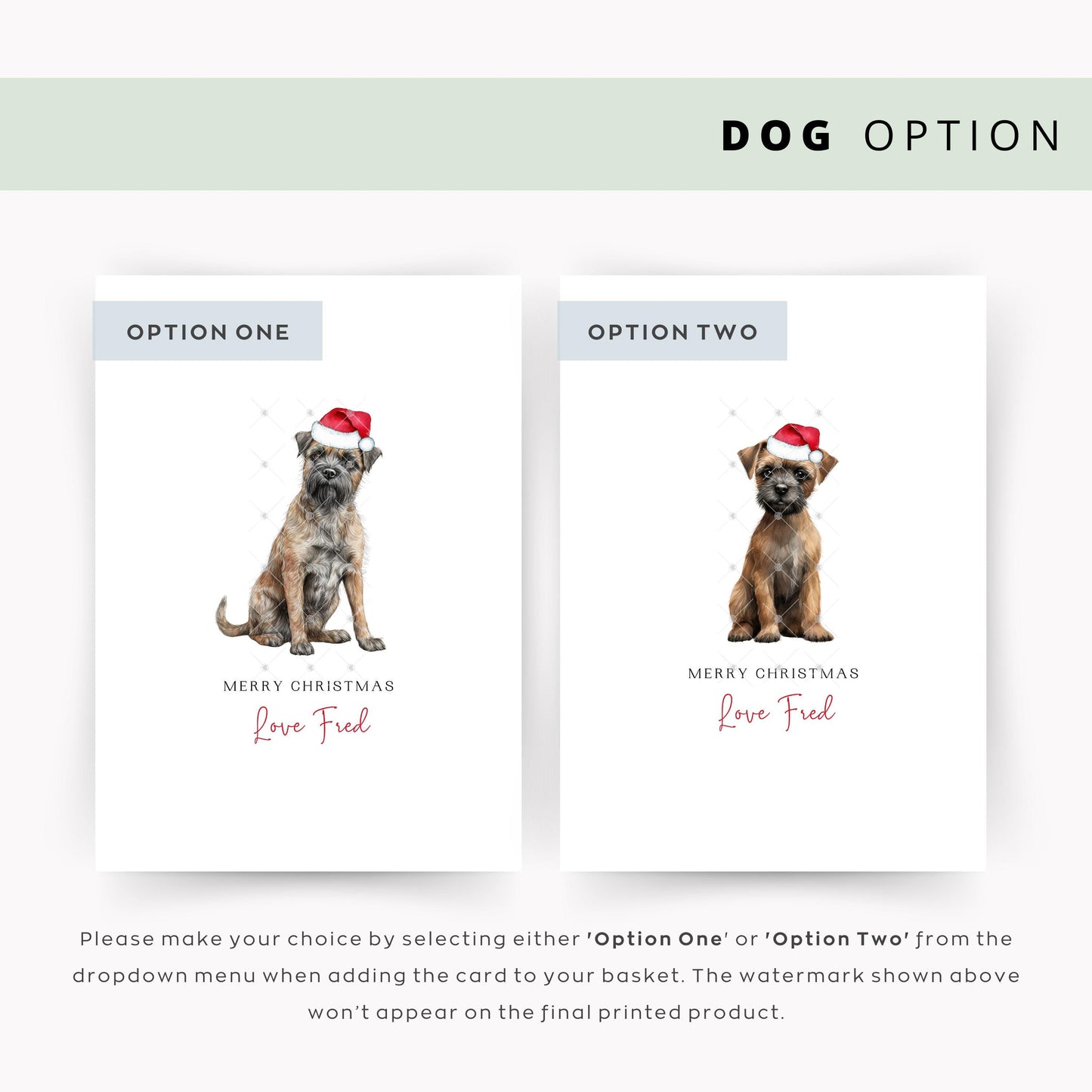 Border Terrier Christmas Card