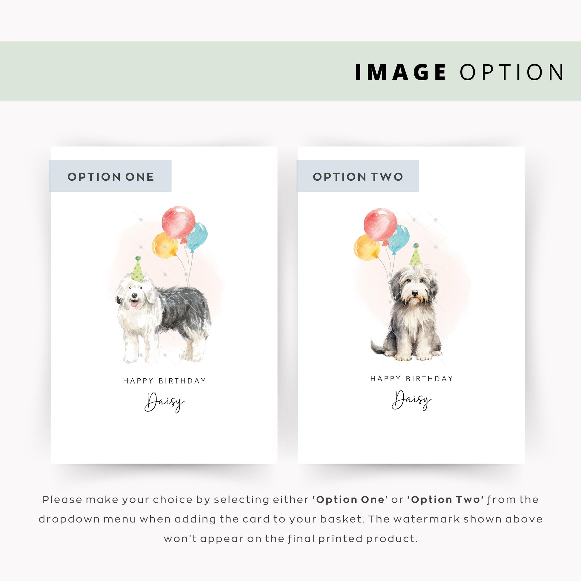 Old English Sheepdog Dog Birthday Card from the Pet Dog for Dog Dad or Dog Mum