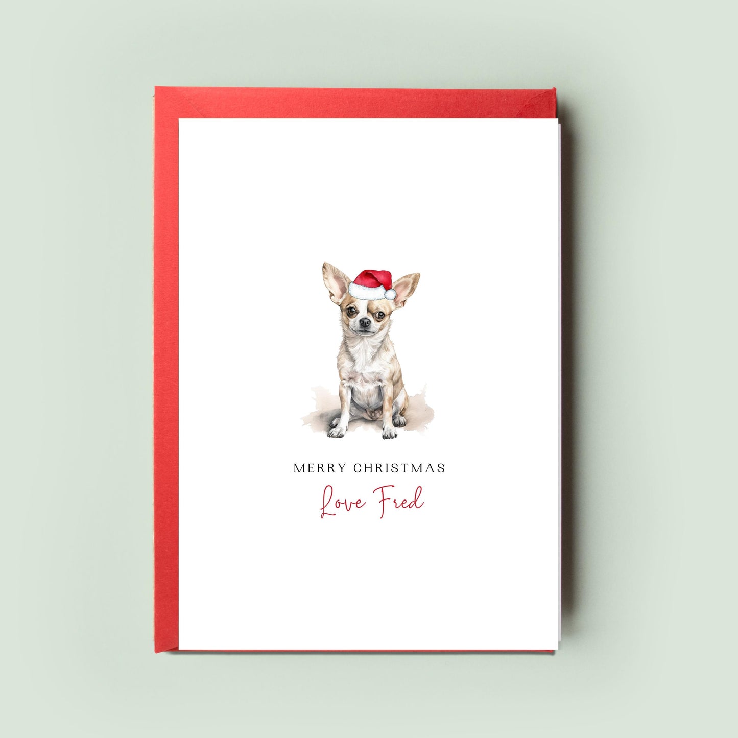 Chihuahua Christmas Card from the Dog