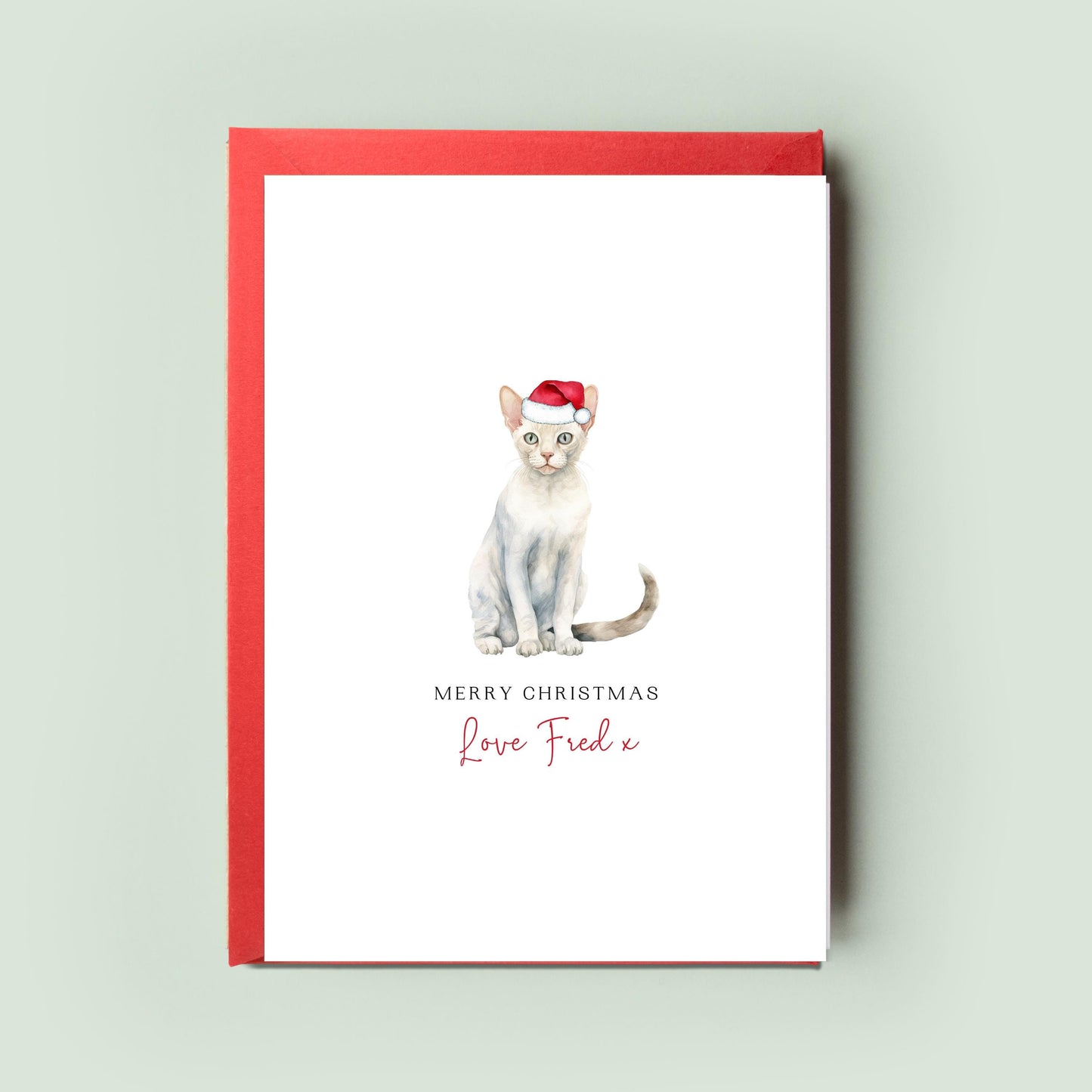 Devon Rex Cat Illustration Christmas Card, Personalised Greeting Card for Cat Dad, Cat Mum, Cat Sitter, Pet Christmas Card, From the Cat