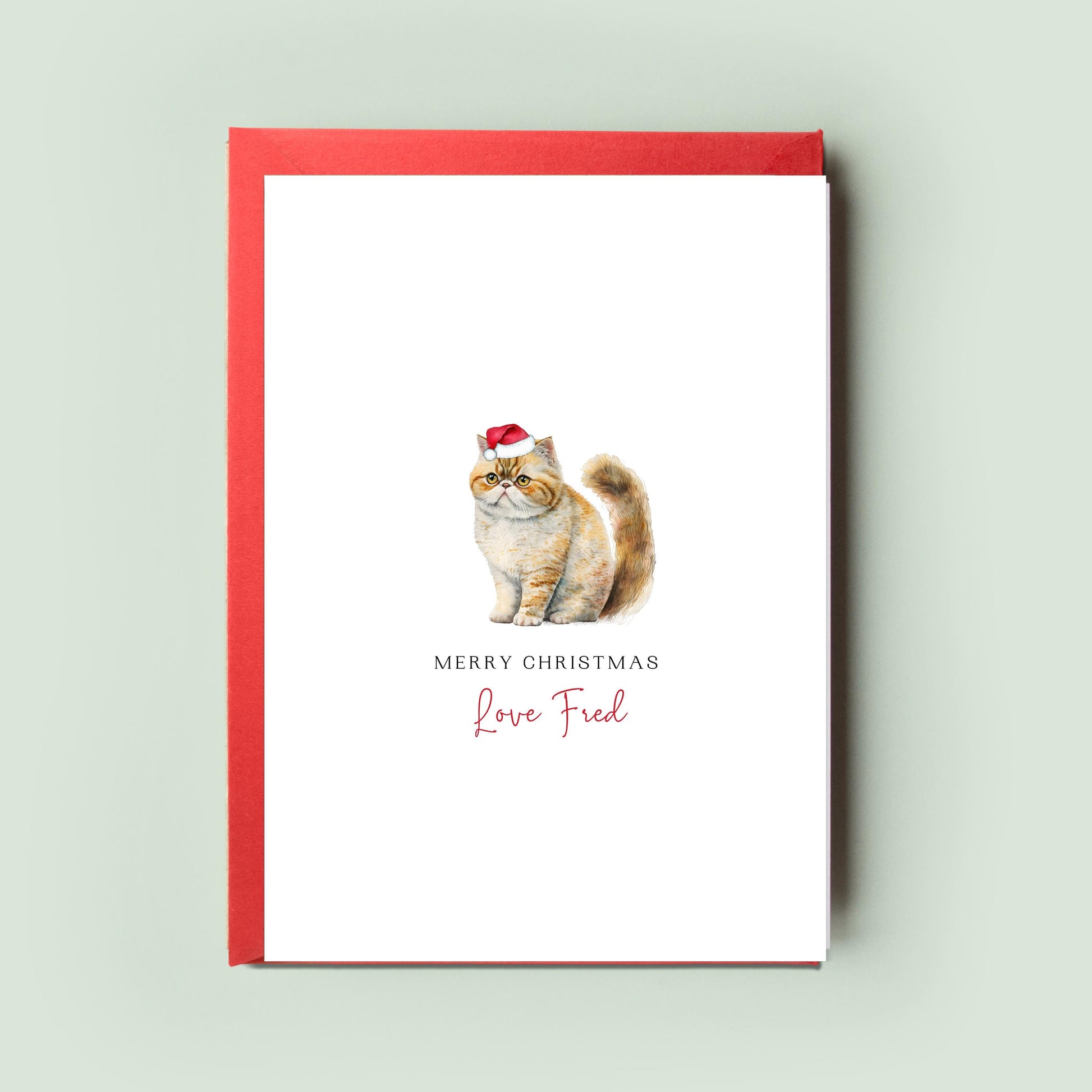 Exotic Shorthair Christmas Card - From the Cat, Special Greetings for Cat Dad & Mum, A Unique Pet Card to Celebrate the Season