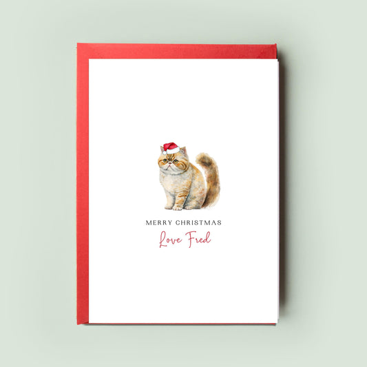 Exotic Shorthair Christmas Card - From the Cat, Special Greetings for Cat Dad & Mum, A Unique Pet Card to Celebrate the Season