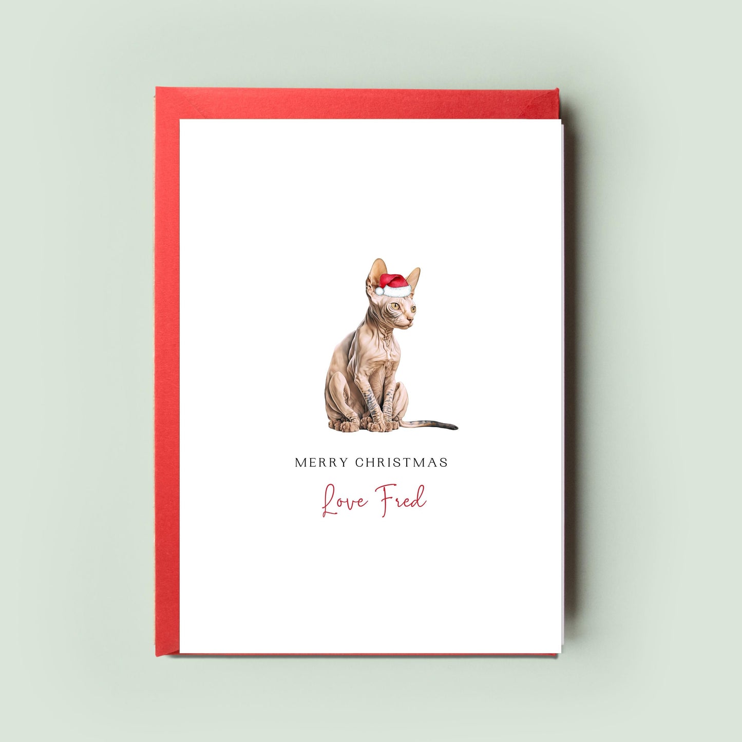 Sphynx Cat Illustration Christmas Card