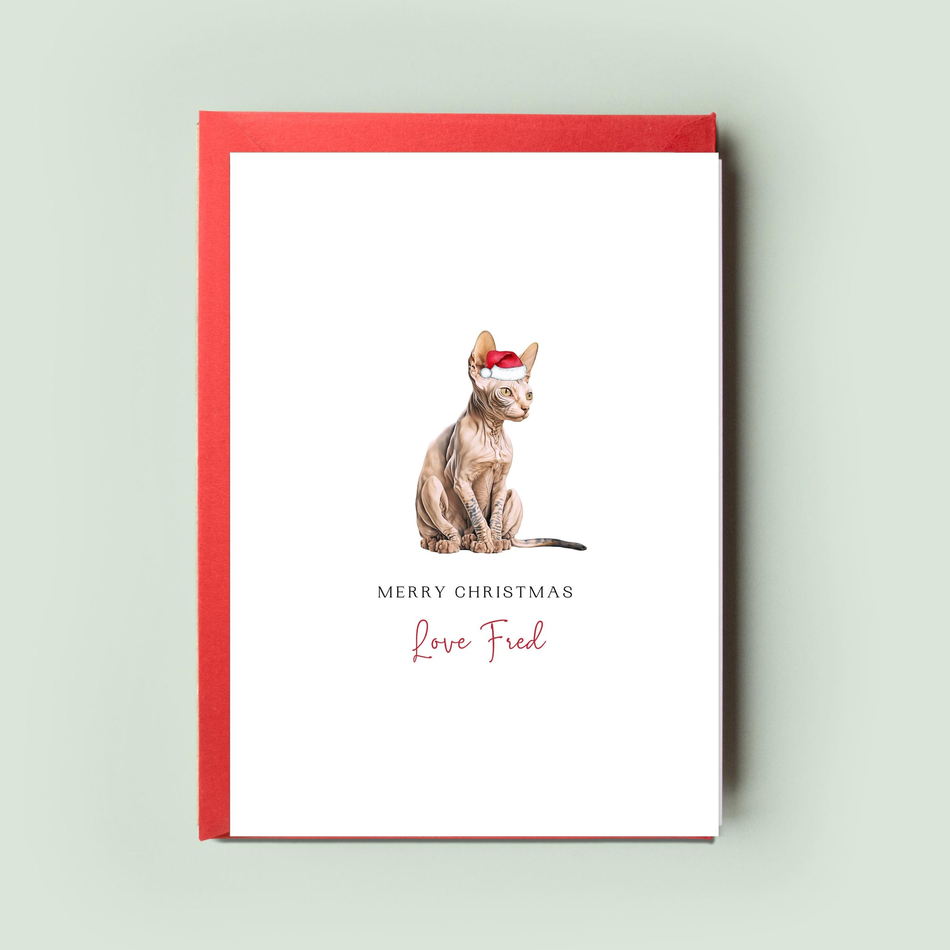 Sphynx Cat Illustration Christmas Card