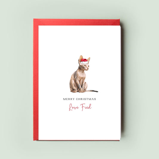 Sphynx Cat Illustration Christmas Card