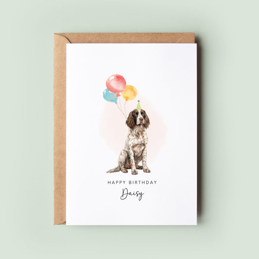 Springer Spaniel Pet Birthday Greeting Card From/For The Dog