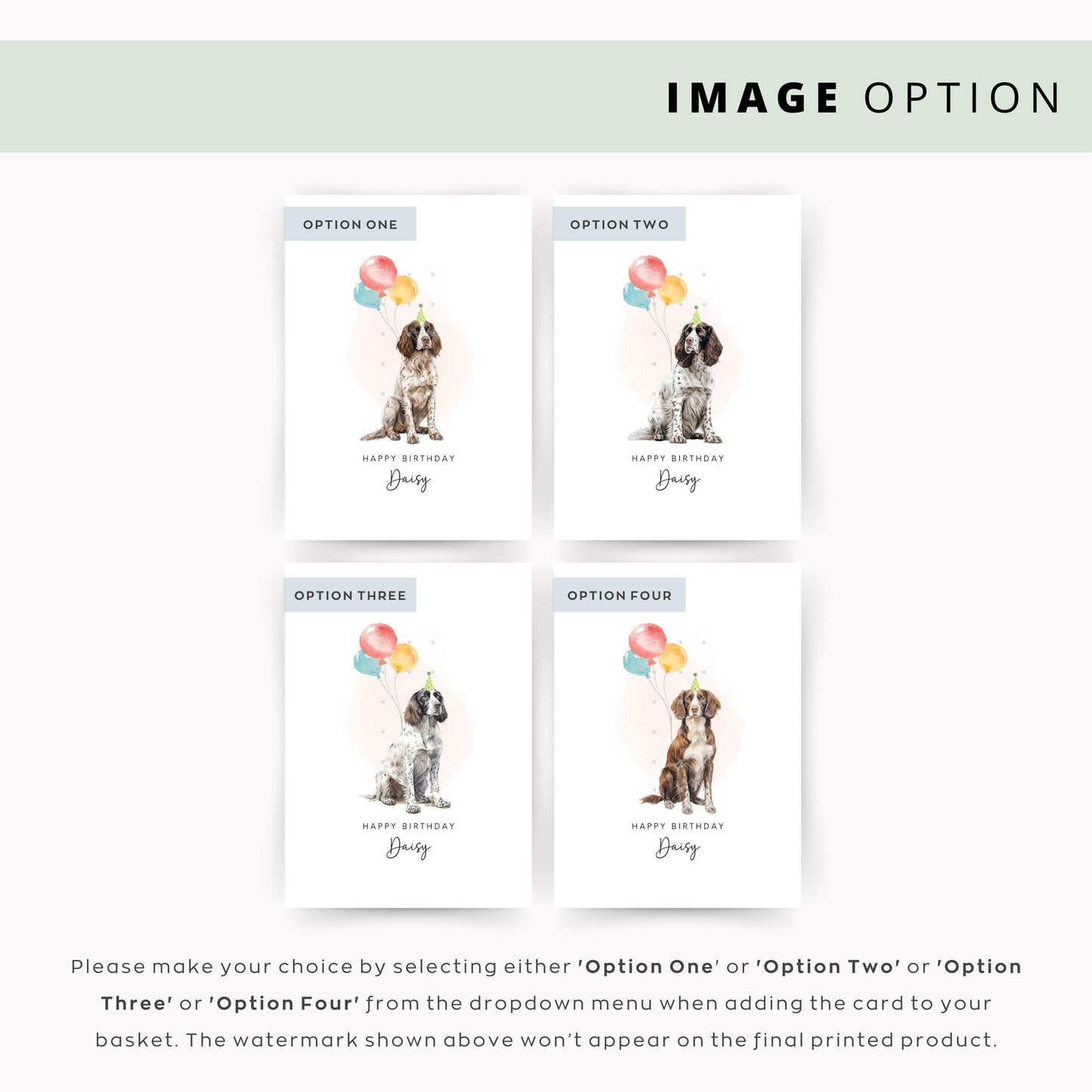 Springer Spaniel Pet Birthday Greeting Card From/For The Dog