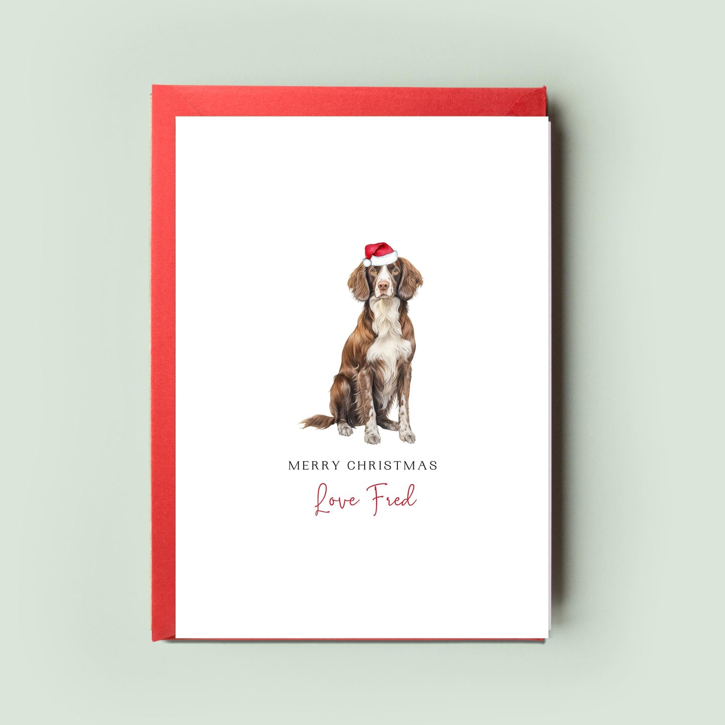 Springer Spaniel Christmas Card for Dog Dad