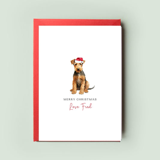 Welsh Terrier Christmas Card from the Dog