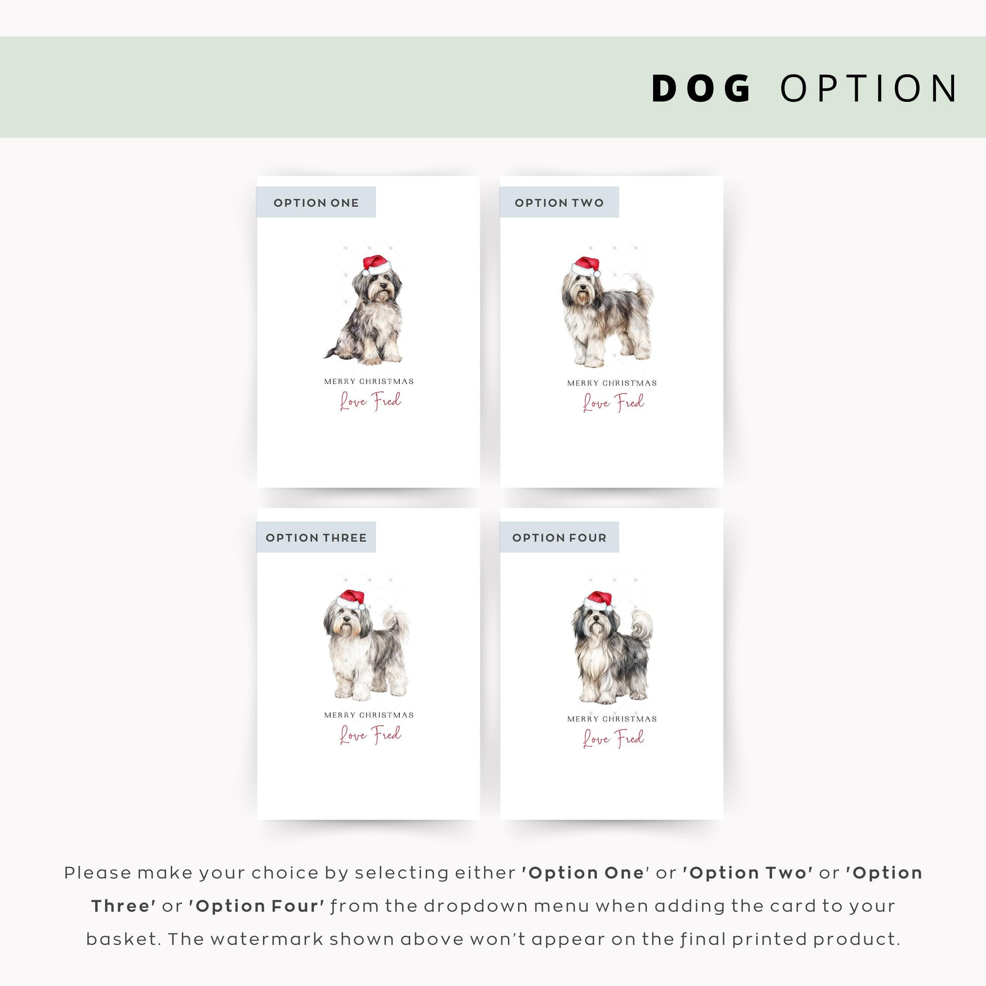 Havanese Dog Christmas Card - From the Dog to Dog Dad & Mum, Unique Festive Pet Card, Show Your Love this Season