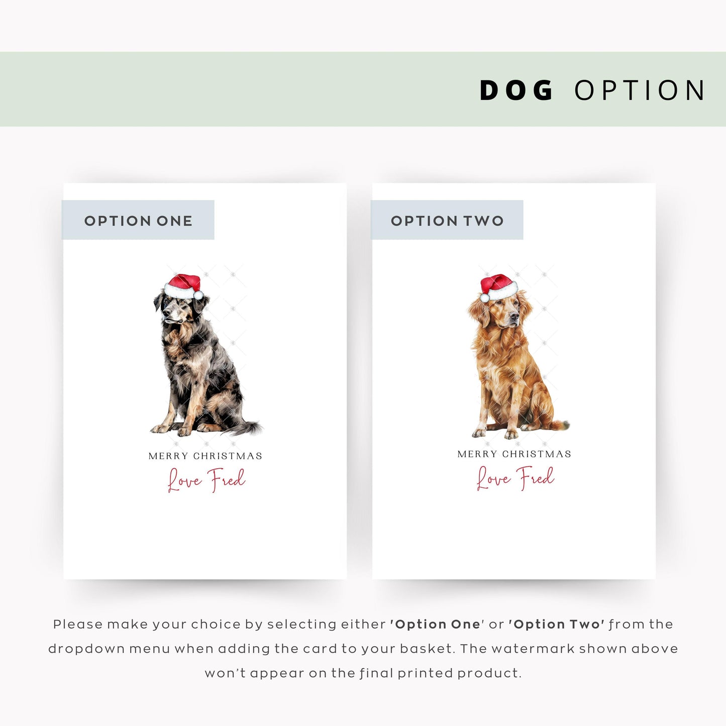 Hovawart Dog Christmas Card - From the Dog to Dog Dad & Mum, Unique Festive Pet Card, Show Your Love this Season