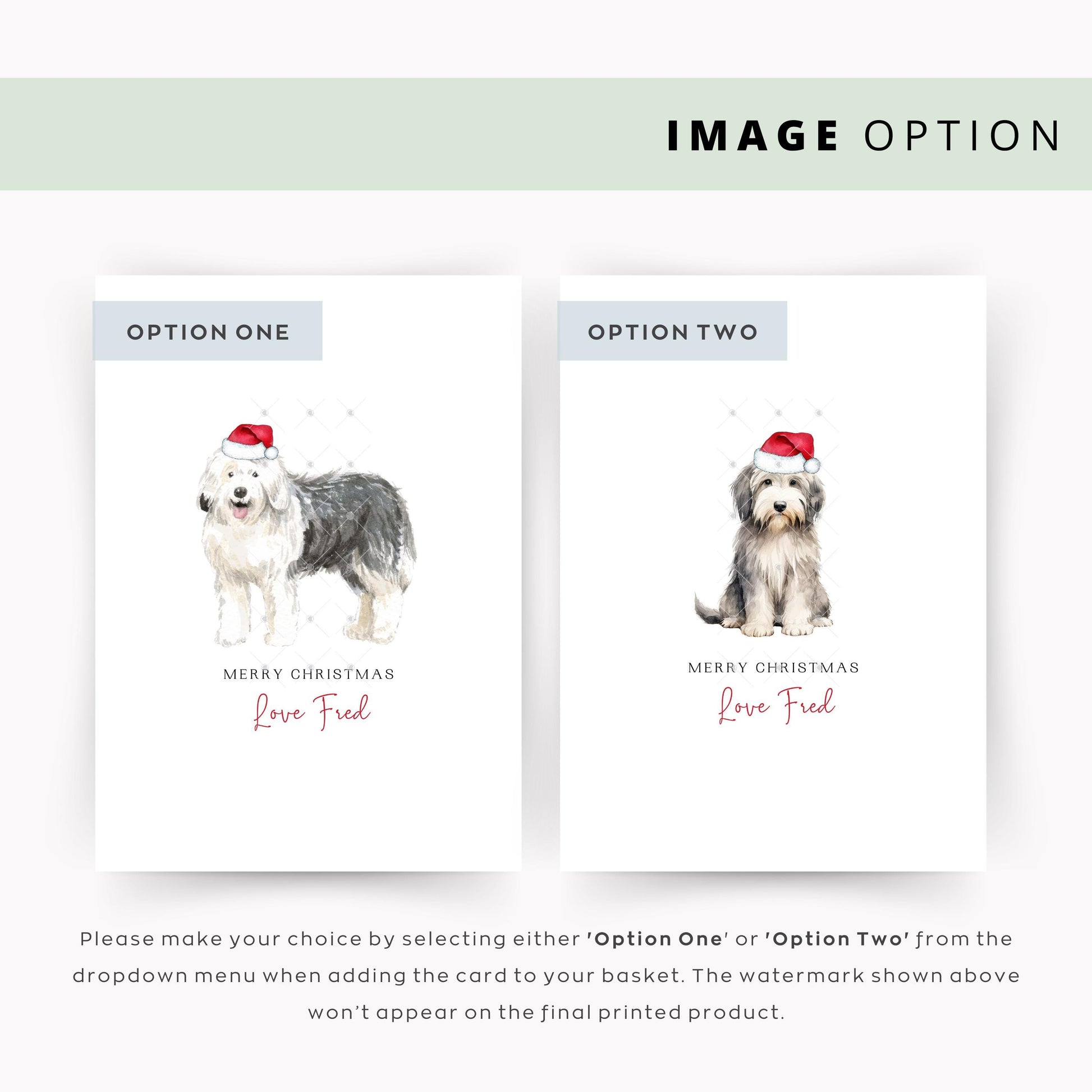 Old English Sheepdog Christmas Card - From the Dog, Paw Card, Unique Pet Christmas Card for Dog Dad/Dog Mum, Merry Christmas Pet Card