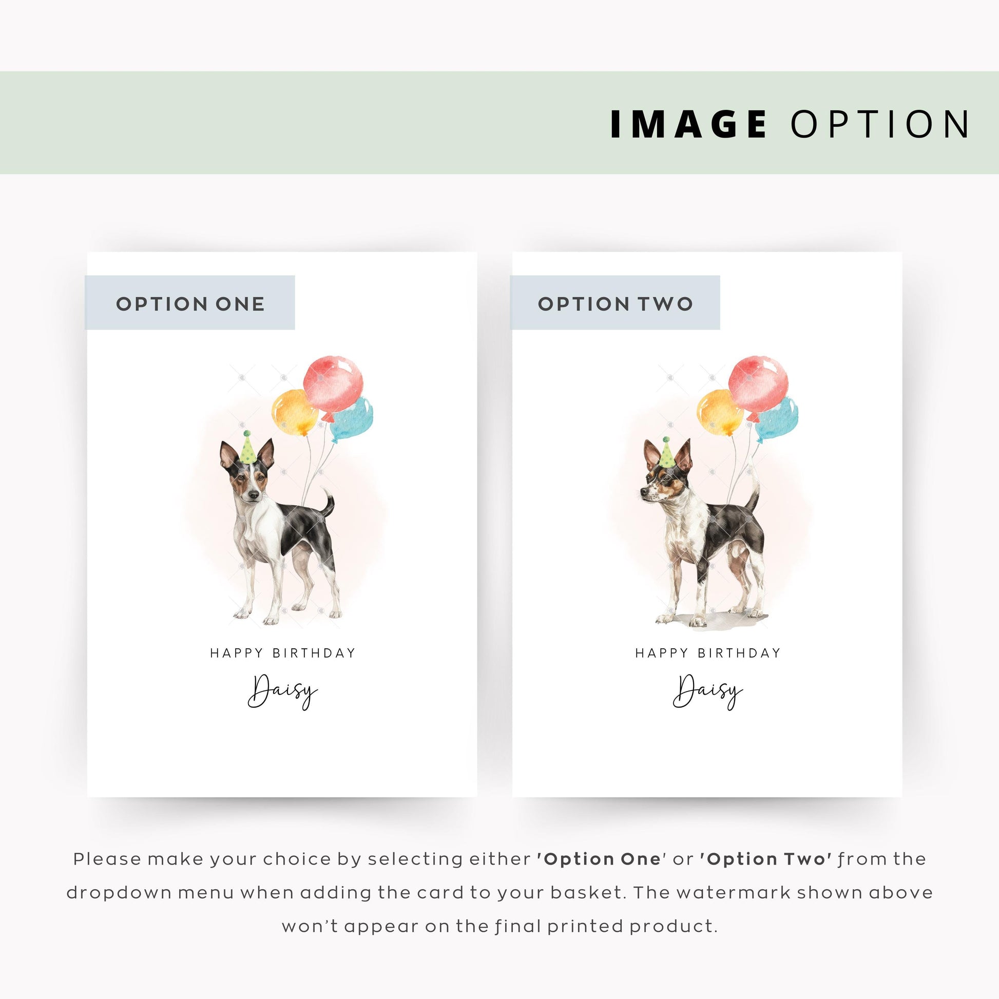 Rat Terrier, Birthday Card from the Dog, Birthday Card for Dog Dad, Birthday Card for Dog Mum, Pet Card, From the Dog