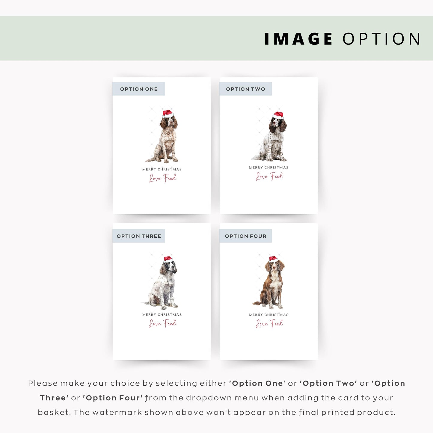 Springer Spaniel Christmas Card for Dog Dad