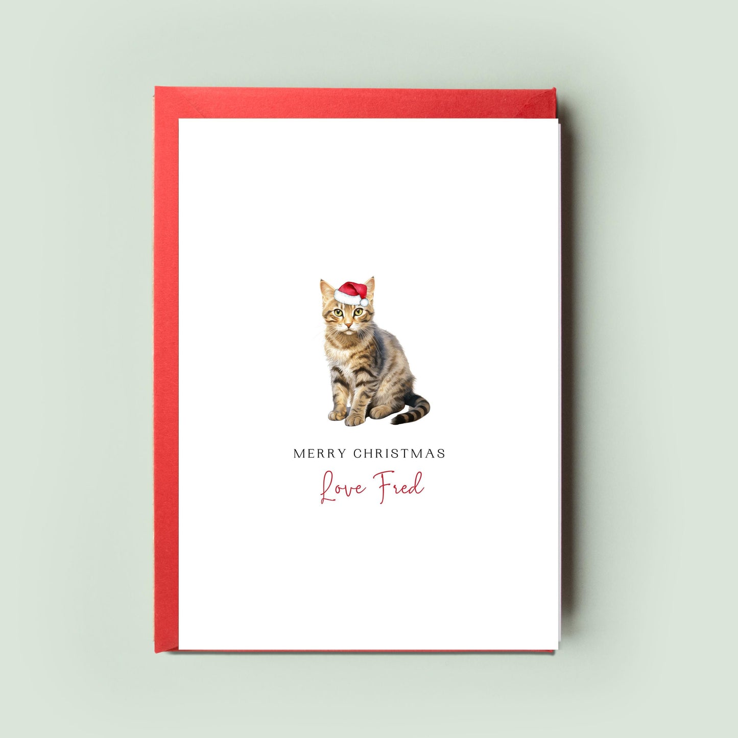 Tabby Cat Christmas Card From the Cat