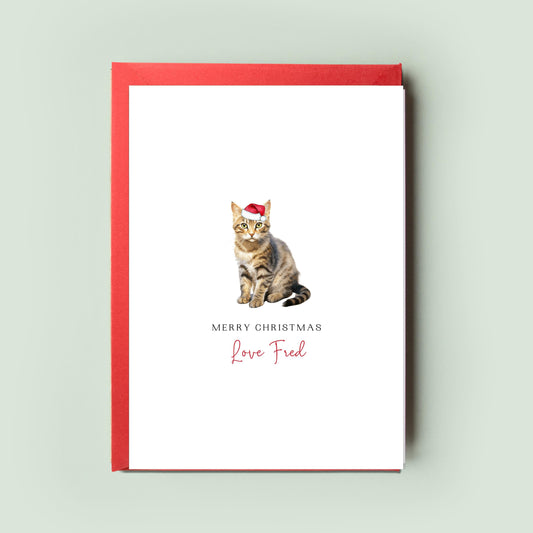 Tabby Cat Christmas Card From the Cat