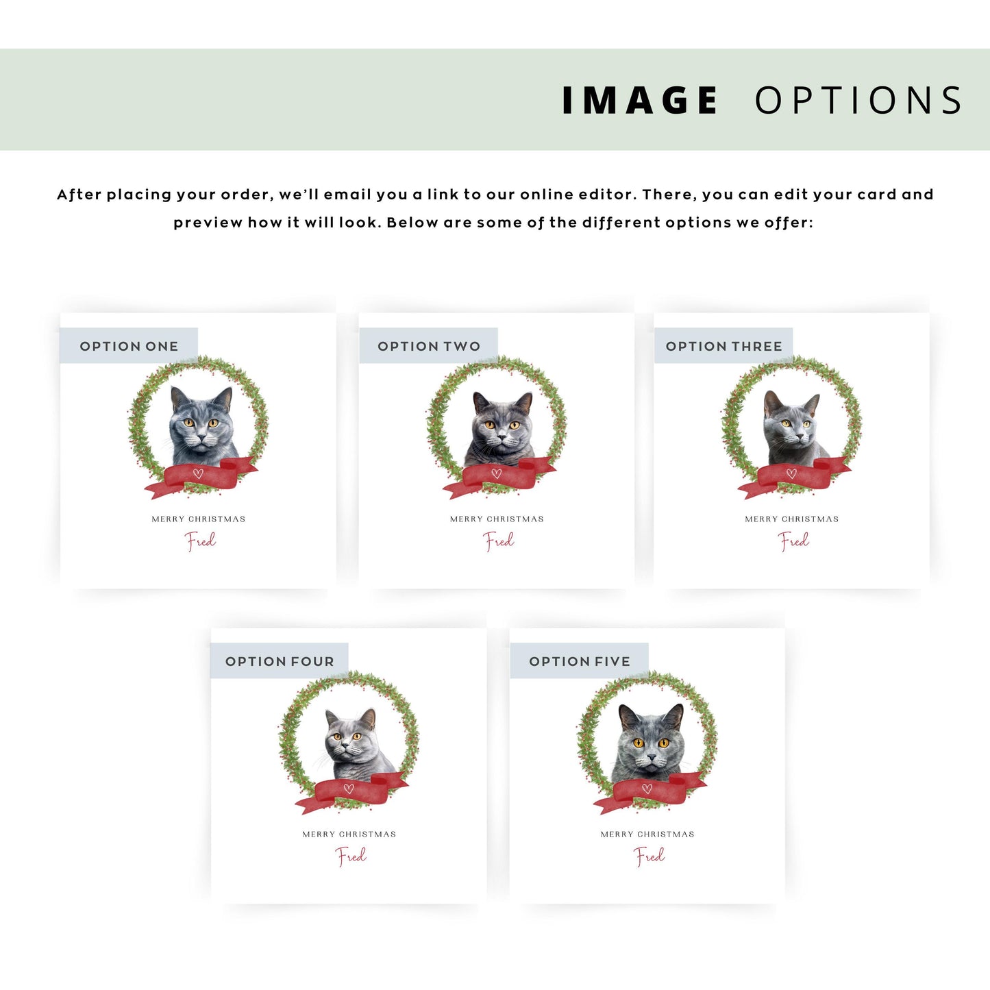 Personalised Chartreux cat Christmas card with festive wreath design. Ideal holiday card for Cat Mum, Cat Dad, or a cat sitter.