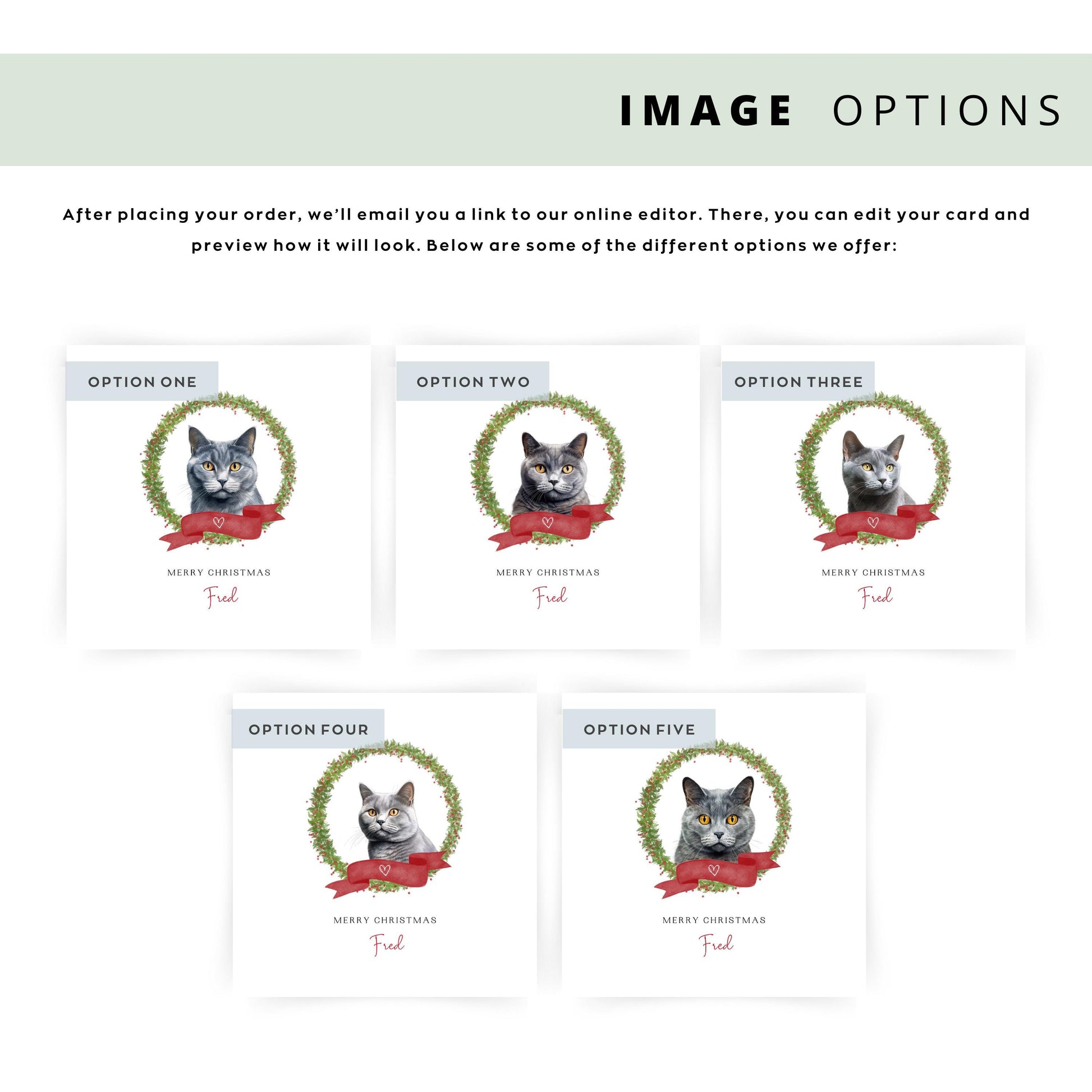 Personalised Chartreux cat Christmas card with festive wreath design. Ideal holiday card for Cat Mum, Cat Dad, or a cat sitter.