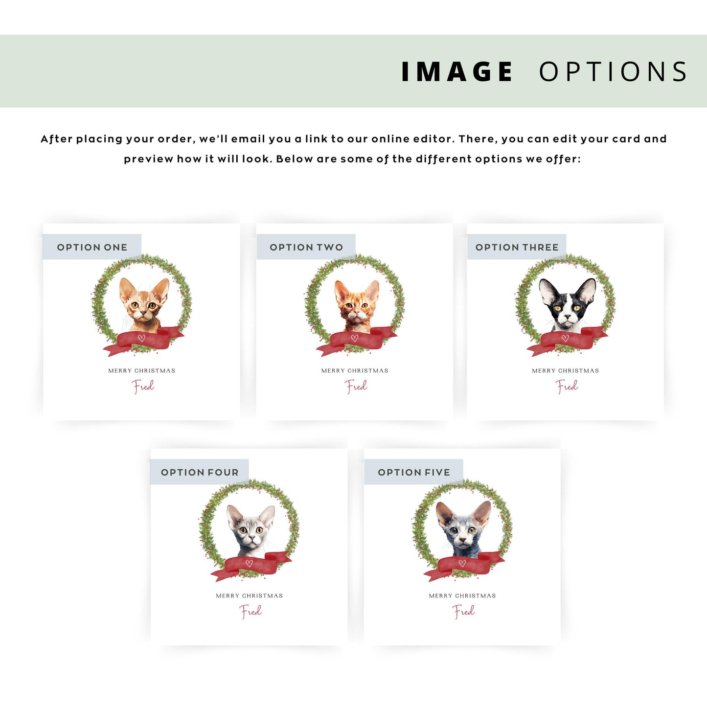 Personalised Devon Rex cat Christmas card with festive wreath design. Ideal holiday card for Cat Mum, Cat Dad, or a cat sitter.
