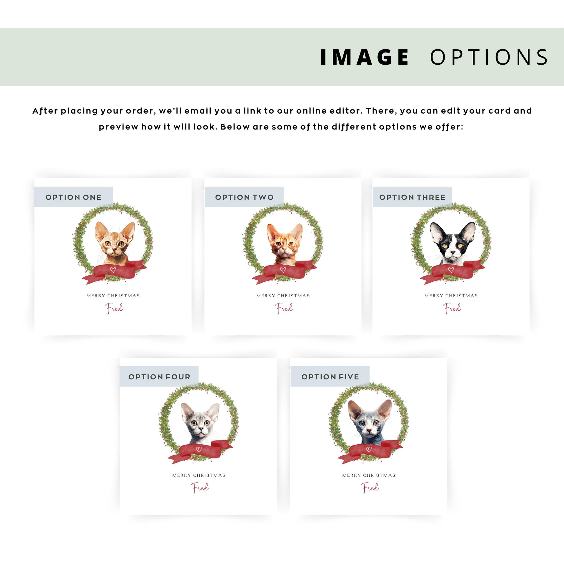 Personalised Devon Rex cat Christmas card with festive wreath design. Ideal holiday card for Cat Mum, Cat Dad, or a cat sitter.